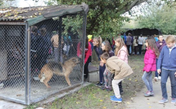 Gyerekek látogatták meg a gazdira váró kutyusokat