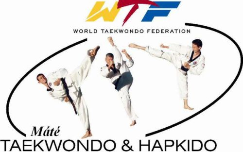 MÁTÉ TAEKWONDO & HAPKIDO KHSE KÖZLEMÉNYE