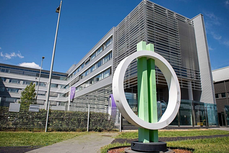 Ez lett Az Év Szava a közmédia szerint