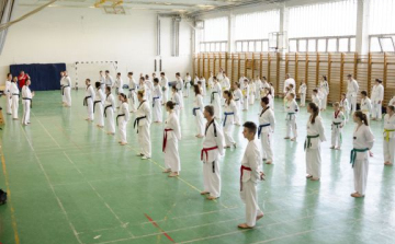 Barátságos Taekwondo