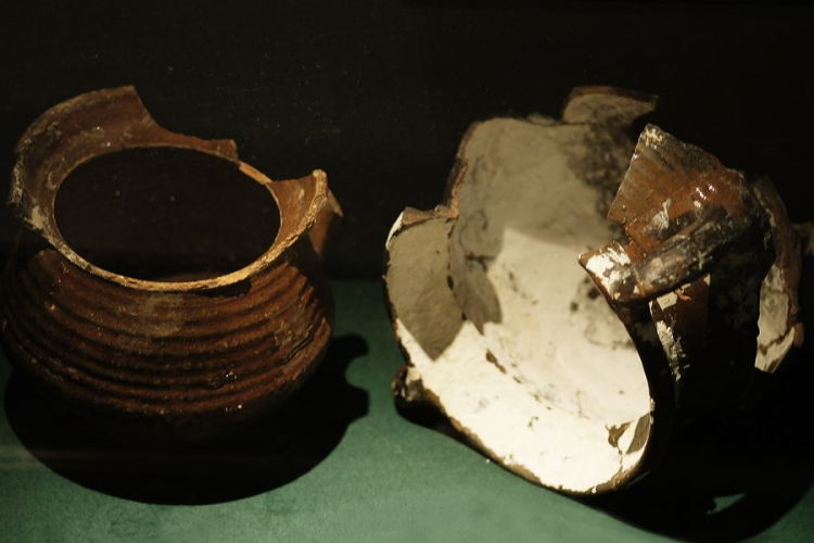 Egy emésztőgödörből előkerült 