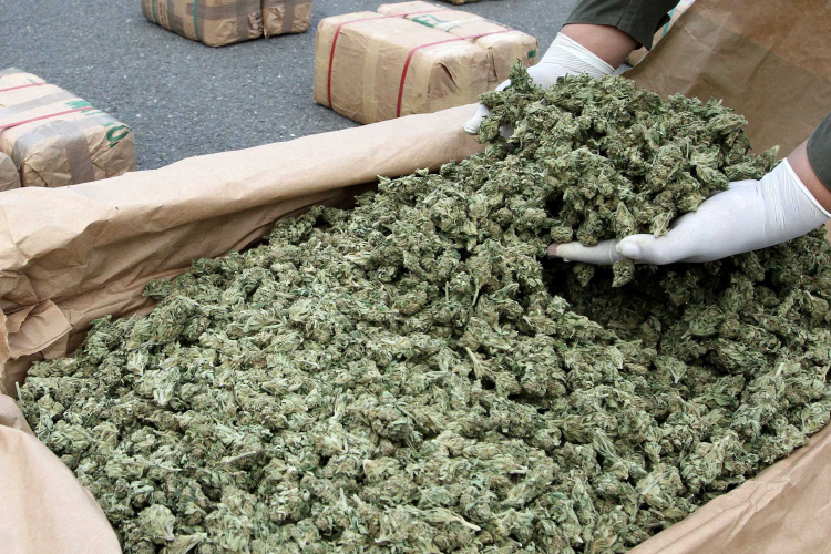 Sziget - Marihuánát próbált becsempészni a fesztiválra egy holland fiatalember