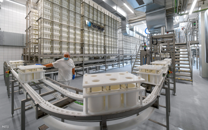 NGM: megkezdődnek a tárgyalások az Alföldi Tej Kft. és a Magyar Állam között a tejipari vállalat felvásárlásáról