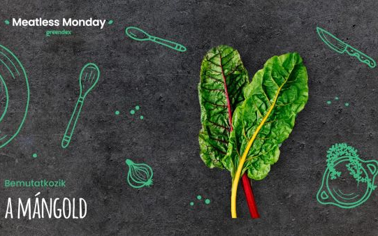 Meatless Monday: egy kevésbé ismert finomság, a mángold