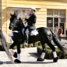 Jelmezes lovas farsangi felvonulás 2017