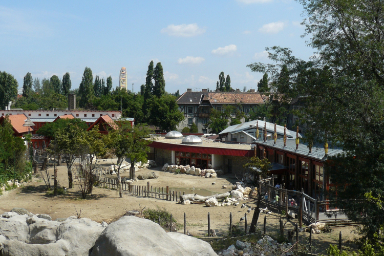 Idén a Szavanna-kifutót újítaná meg a felajánlott szja 1 százalékokból a Fővárosi Állatkert