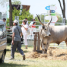 XXIII. Alföldi Állattenyésztési és Mezőgazda Napok