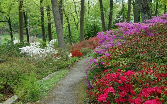 Nem csak növényrajongóknak! – 8 arborétum, amelyet érdemes meglátogatni